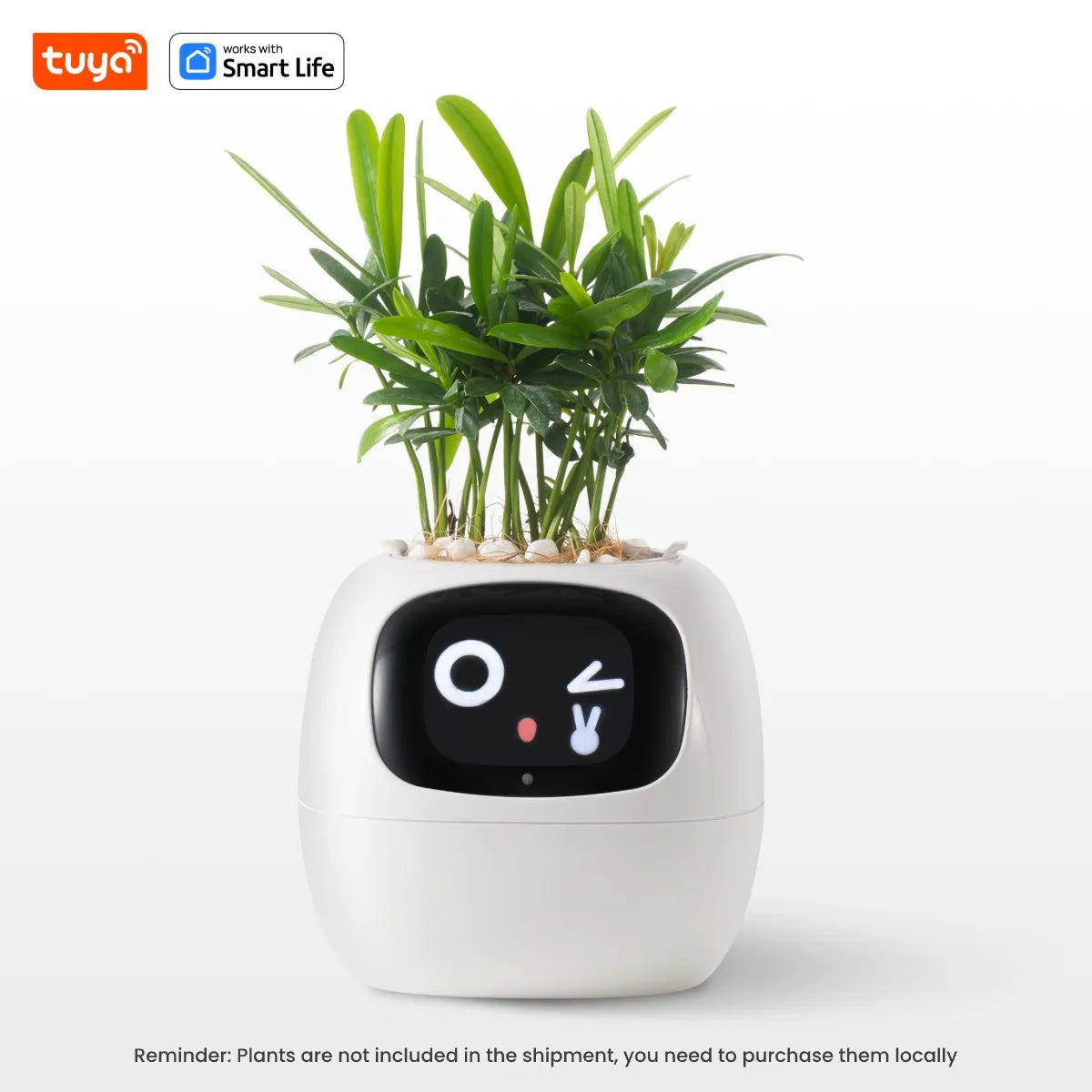 Plantagotchi - AI Smart Planter